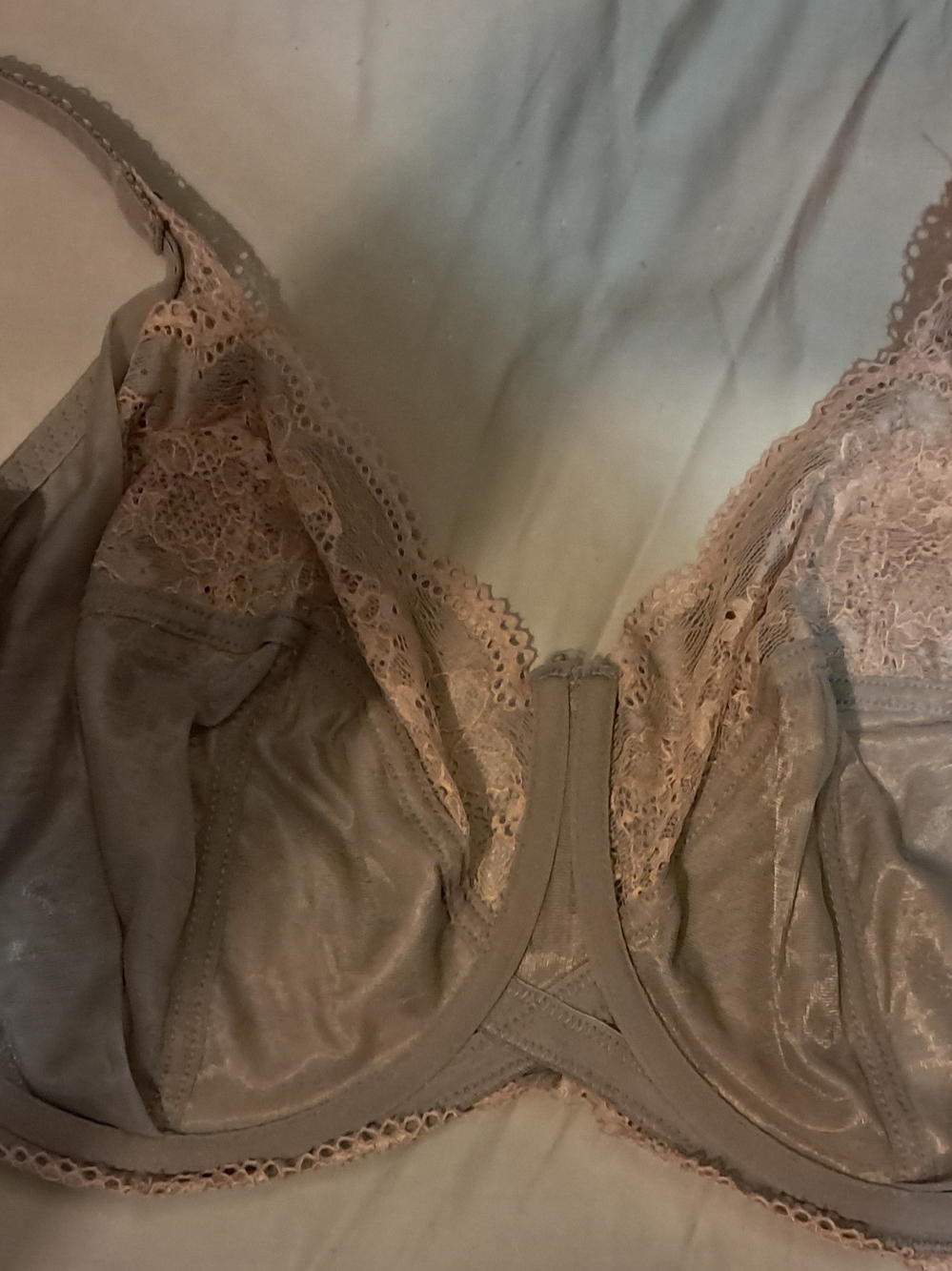 Panache "Clara" Lace Underwire Bra in Blush Pink And Dusty Rose - Picture 8 of 8